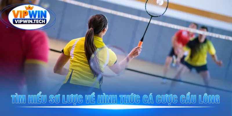 Khám phá hình thức cá cược cầu lông hấp dẫn Khám phá hình thức cá cược cầu lông hấp dẫn